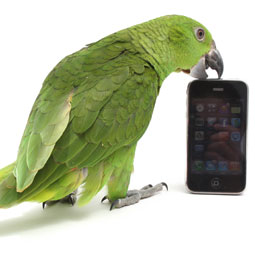 parrot-phone